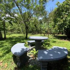 Villas Allen Puerto Viejo