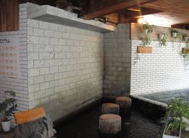 Kurhaus Ishibashi Ryokan