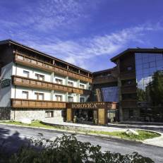 Wellness Hotel Borovica