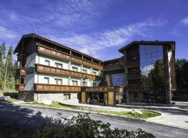 Wellness Hotel Borovica
