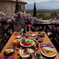 Yedi Bilgeler Vineyards