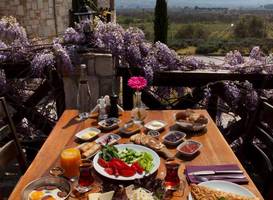 Yedi Bilgeler Vineyards