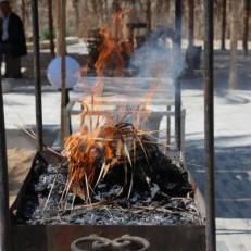 La Palmeraie de Touareg