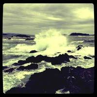 Wild Shores Guest House