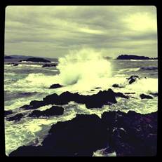 Wild Shores Guest House