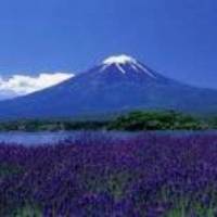 Fuji Onsenji Plaza Inn