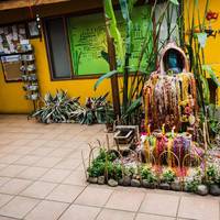 Kaps Place Hotel B & B