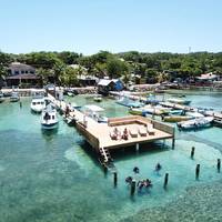 Splash Inn Dive Resort