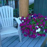 Greenwood Country Inn