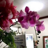 Oriental Inn Bintulu