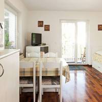 Apartments Vijolica