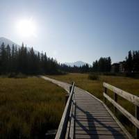 Rundle Cliffs Lodge