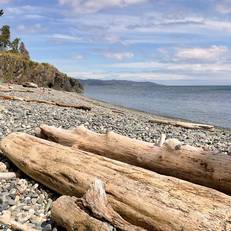 Orca View Cottage