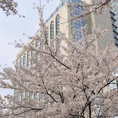 Grand Hyatt Tokyo