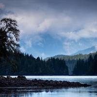 Ecolodge - Tofino