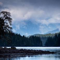 Ecolodge - Tofino
