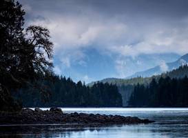 Ecolodge - Tofino
