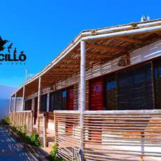Zarcillo Paradise