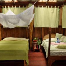 Tree House Lodge