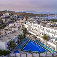Shark Club Hotel