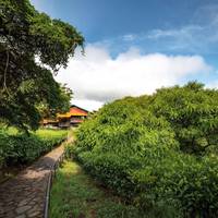 Hotel Heliconia