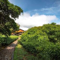 Hotel Heliconia