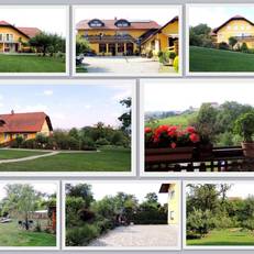 Panorama Rooms