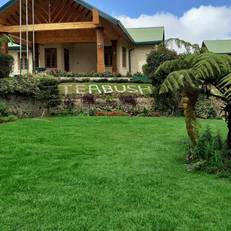 Tea Bush Hotel