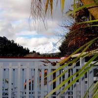 Kings Ohakune