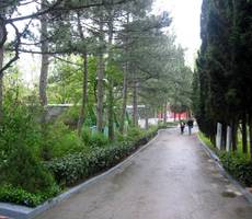 Главная аллея