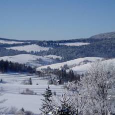 Koliba Holica