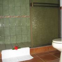 Arenal Green