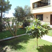 Teras Motel