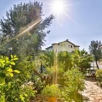 Sonne Apart
