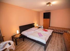Hotel Jelen
