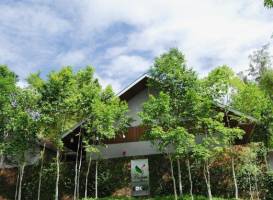 Belum Rainforest Resort