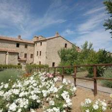 Apartment Fastelli V