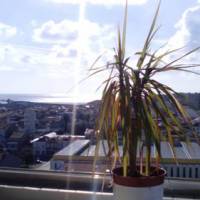 Panoramic Place