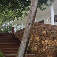 Sandaya's Place