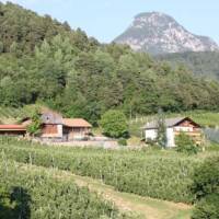 Masunerhof