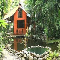 Rainforest Hideaway