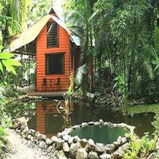 Rainforest Hideaway