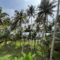 Galawatta Beach Cabanas