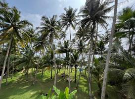 Galawatta Beach Cabanas