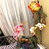 Dickinson Guest House B&B