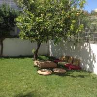 Hostel Victoria Vilamoura
