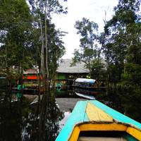 Amazon Eco Tours & Lodge
