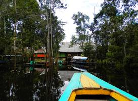 Amazon Eco Tours & Lodge
