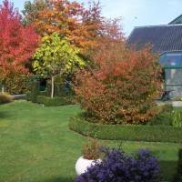 B&B Het Zummerheem