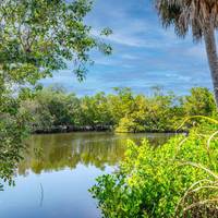 Tamiami Motel